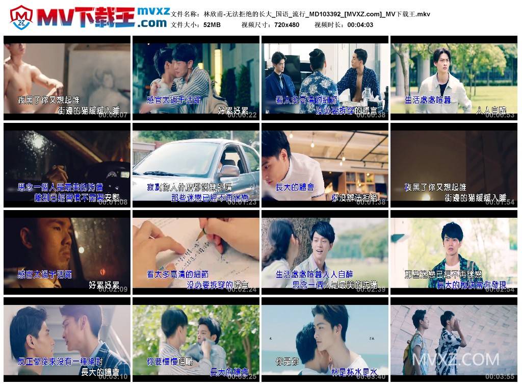 林欣甫-无法拒绝的长大_国语_流行_MD103392